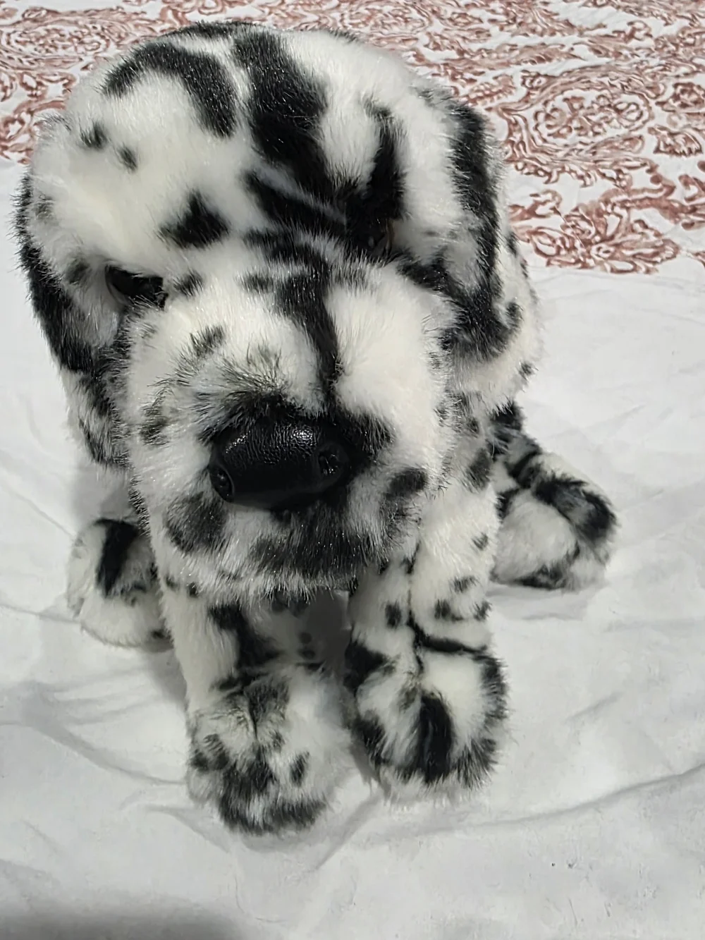 Douglas MACKAY DALMATIAN Dog Puppy Retired
